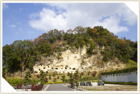 �쉀�A���o��