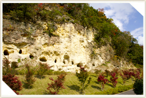 �쉀�A���o��