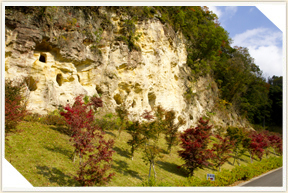 �쉀�A���o��