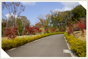 �쉀�A���o��