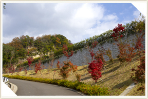 �쉀�A���o��