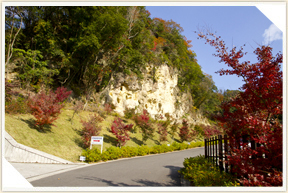 �쉀�A���o��