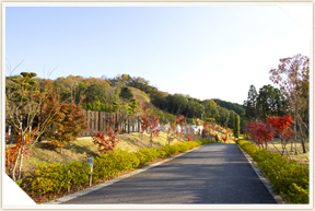 �쉀�A���o��