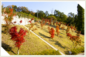 �쉀�A���o��