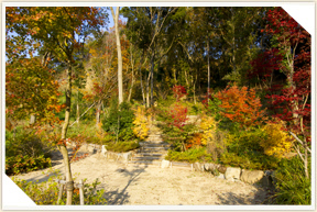 �쉀�A���o��