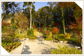 �쉀�A���o��