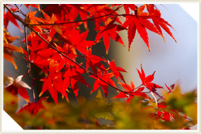 �쉀�A���o��