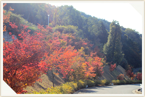 �쉀�A���o��