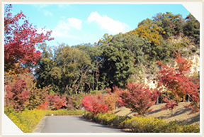 �쉀�A���o��