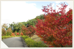 �쉀�A���o��