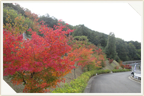 �쉀�A���o��