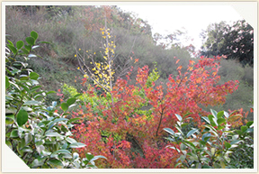 �쉀�A���o��