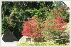 �쉀�A���o��