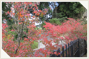 �쉀�A���o��