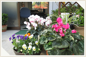 �쉀�A���o��