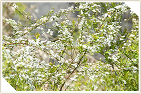 �쉀�A���o��