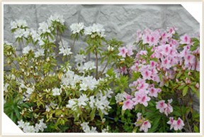 �쉀�A���o��