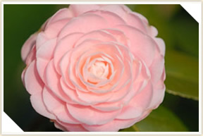 �쉀�A���o��