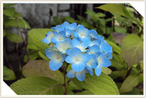 �쉀�A���o��