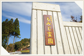 �쉀�A���o��